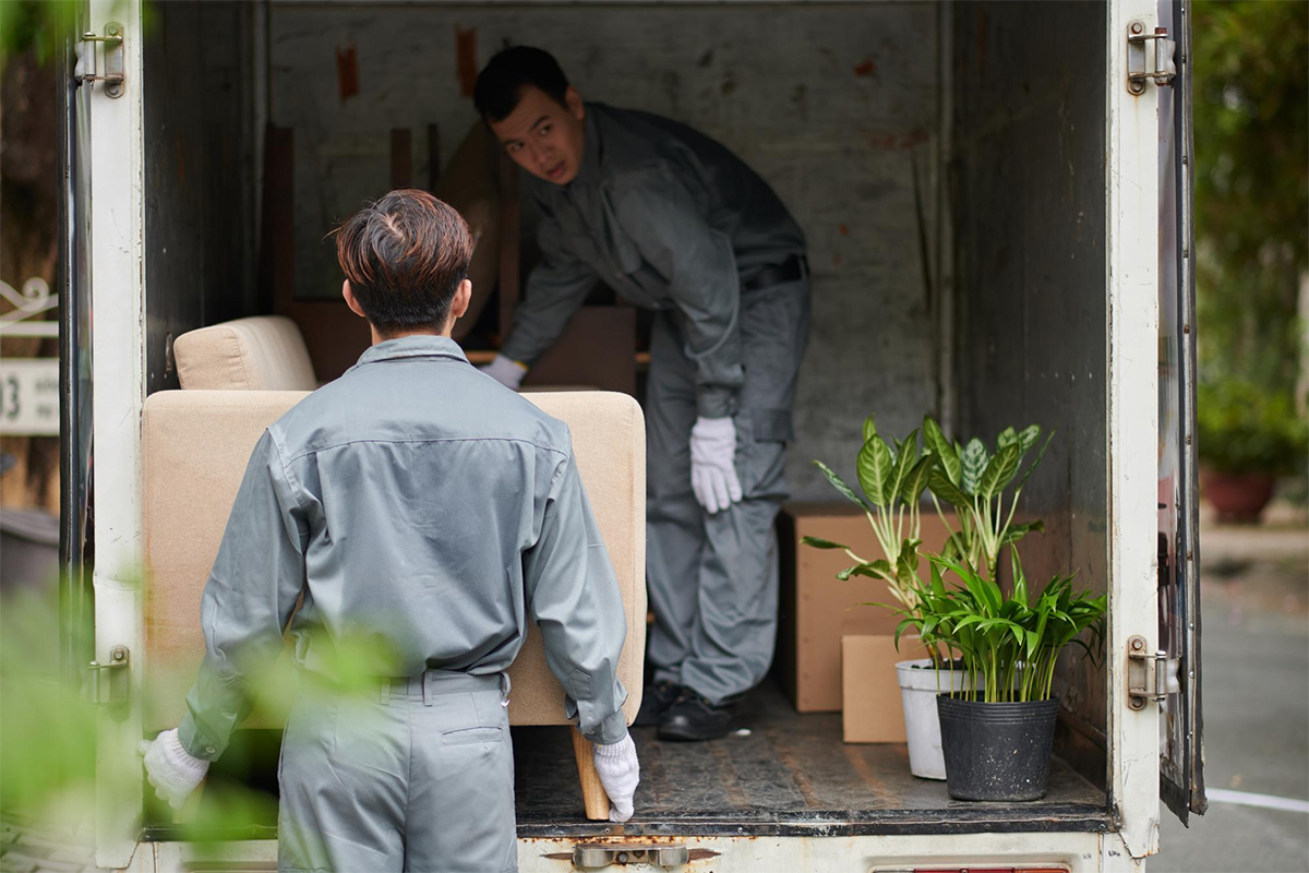 What are Professional Moving Services?